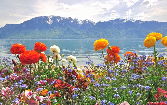 lago_di_Ginevra
