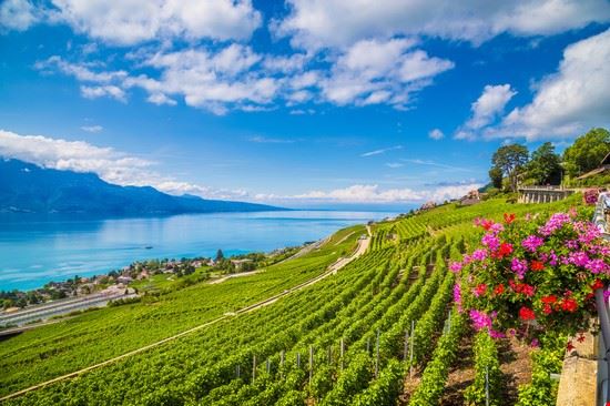  Montreux  