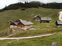 Malghe