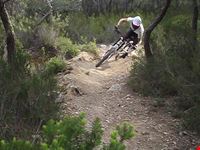 Mountain bike