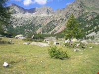 Parco Naturale Alpi Marittime