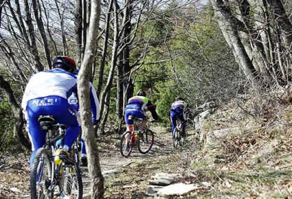 Attivita' sportiva in Mountain Bike