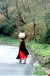  enogastronomia e tradizioni