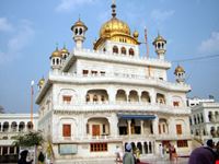 Tempio Sikh