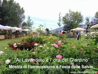 festa della lavanda italia assisi