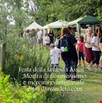 festa della lavanda italia 2016 assisi