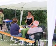festa della lavanda italia 2016 assisi