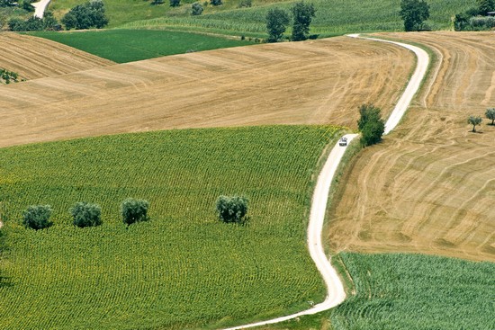Dintorni