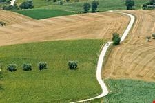 Dintorni
