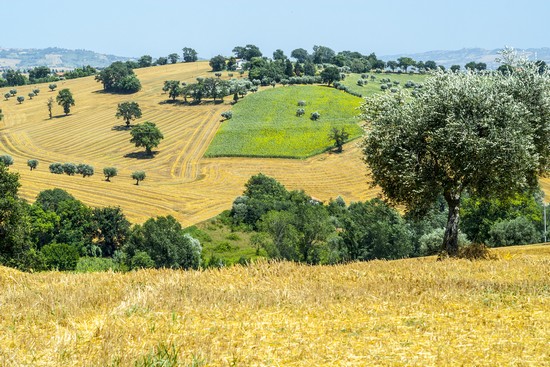 Dintorni
