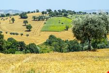 Dintorni