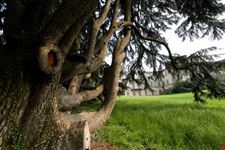 Villa Greppi