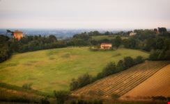 Oriolo dei Fichi