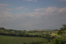 Oriolo dei Fichi