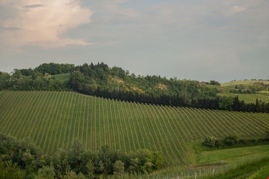 Oriolo Dei Fichi