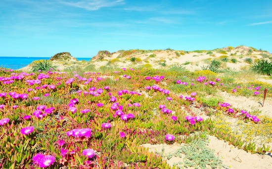 Platamona Lido