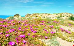 Platamona Lido