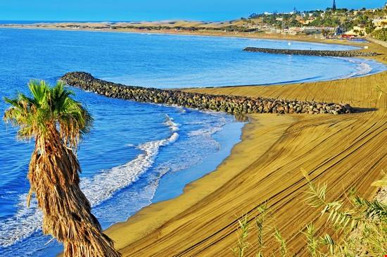 Canarie a dicembre: consigli di viaggio e cosa fare!
