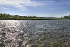 Piave