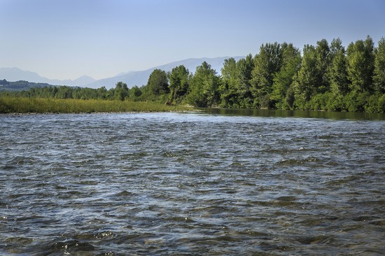 Piave