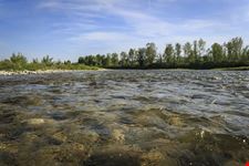 Piave