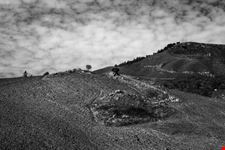 Roccapalumba