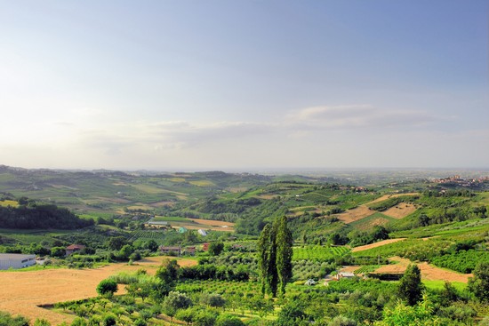 Dintorni
