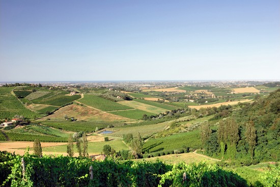 Dintorni
