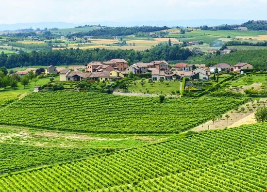  Rosignano Monferrato  