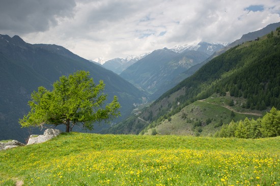 Val Senales