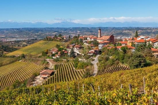 Langhe Treiso  