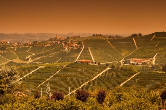 Langhe Treiso  