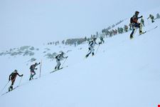 Piste da sci
