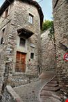 assisi assisi