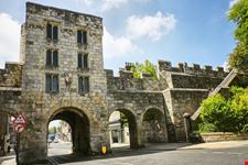 york york