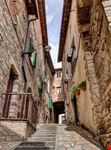 Todi