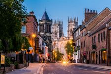 york york