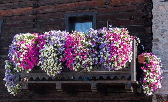  Livigno  