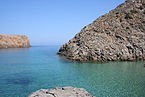 cala domestica