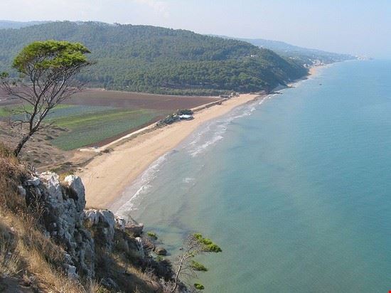  Vico del Gargano Theirrules - CC BY-SA 3.0 Theirrules