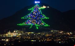 Albero di Natale