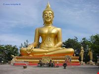  grande buddha
