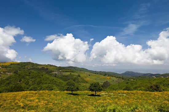 Monte Amiata