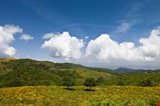 Monte Amiata