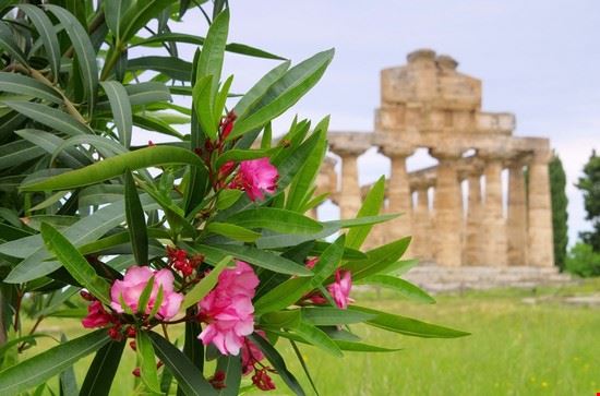  Agropoli LianeM LianeM
