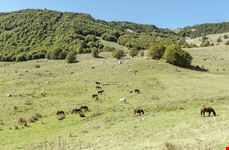Abruzzo_395708938-min.jpeg