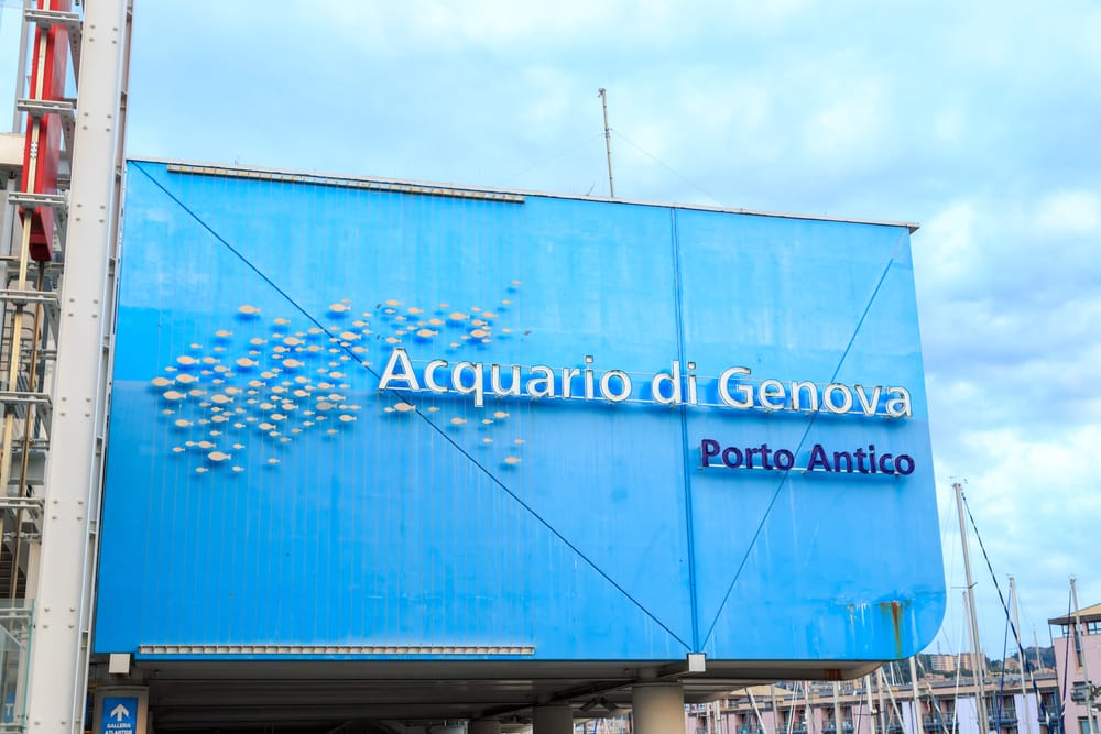 Acquario di Genova_1647199909