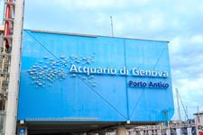 Acquario di Genova_1647199909