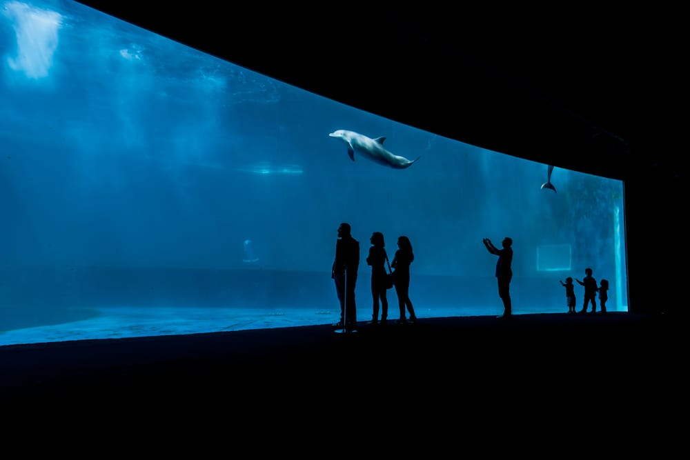 Acquario di Genova_436005019