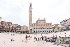AdobeStock_203401890-min.jpeg